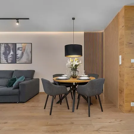 Air Conditioned In Cracow With Parking And Desk By Renters 아파트 크라쿠프