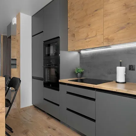 Air Conditioned In Cracow With Parking And Desk By Renters